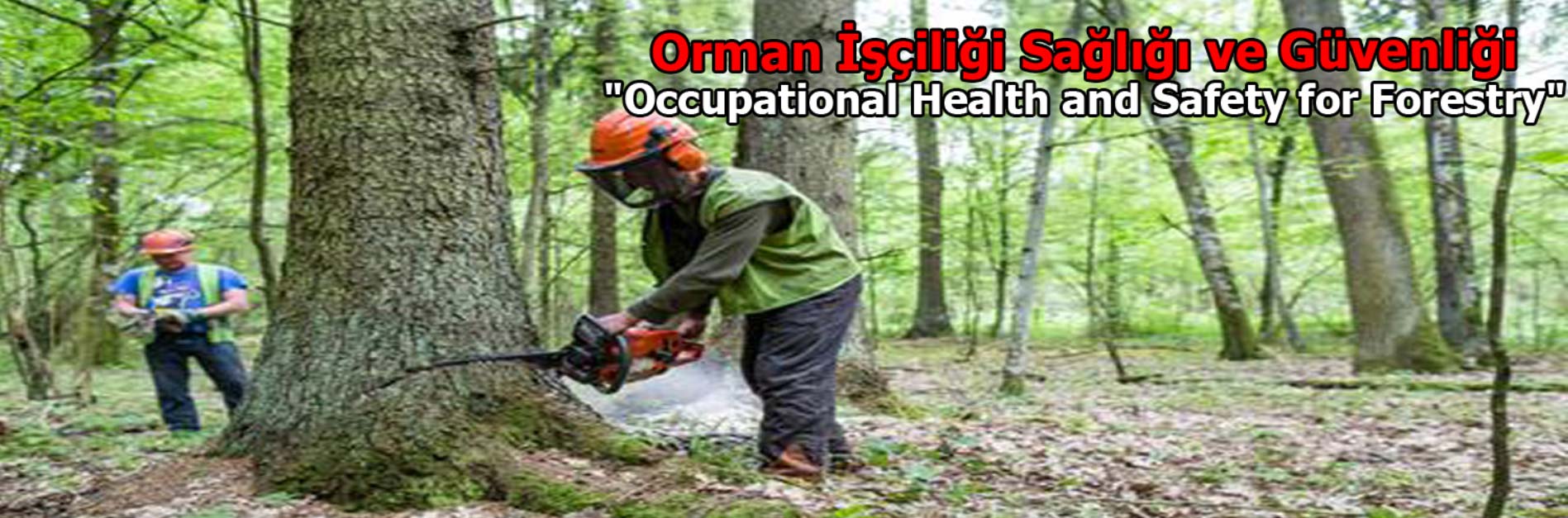 Orman İşçiliği Sağlığı ve Güvenliği